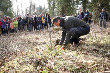 POGOZDOVANJE V RAKOVEM ŠKOCJANU 12 FOTO LJUBO VUKELIČ